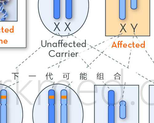 沈阳供卵试管好找_正规医院供卵