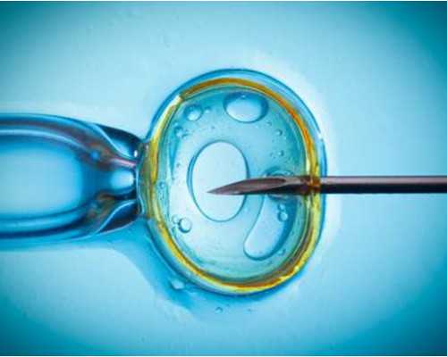 南宁试管供卵助孕机构排行公布！2026供卵试管成功率参考指南 