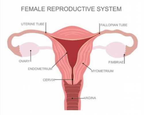 家圆医院供卵,南京供卵医院