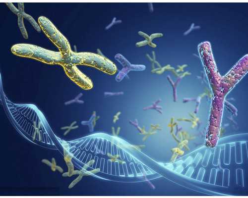 2026郑州供卵的私立机构最新发布,附供卵三代生男孩费用详情-代生靠谱吗