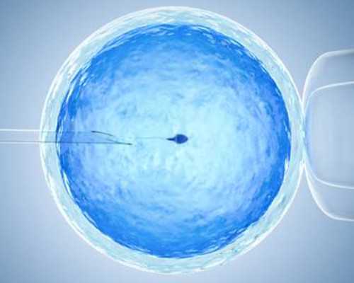 供卵流程是怎样的_泰国家恩德运供卵,北京供卵试管中介成功率高吗