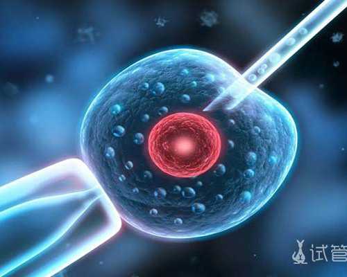 为什么说佛山私人供卵机构试管包生男孩是骗局？