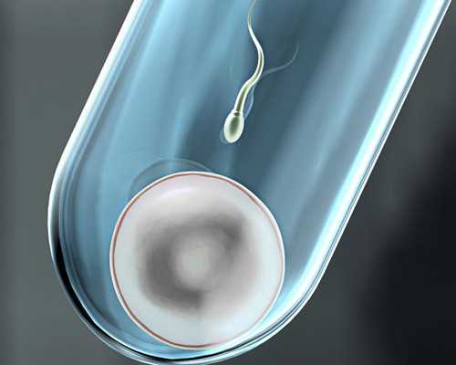 供卵源_供卵供卵代怀多少钱,白山供卵供卵代怀婴儿成功率捐卵