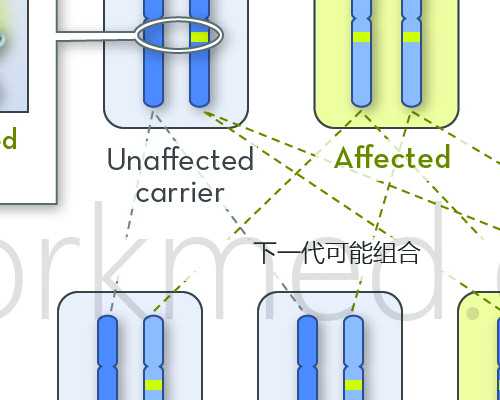 河北省二院有卵子库能申请供卵做试管婴儿吗？