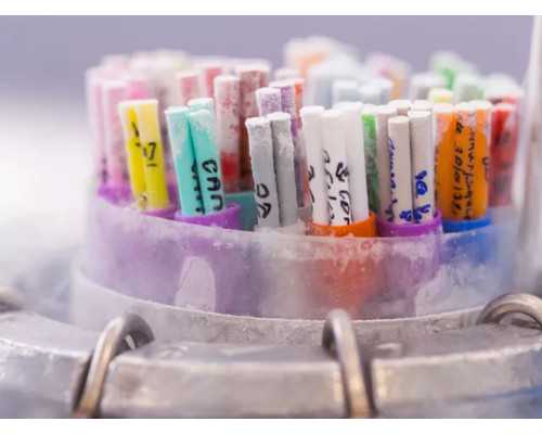 最好的代孕,助孕：试管婴儿，男方取精困难怎么办？