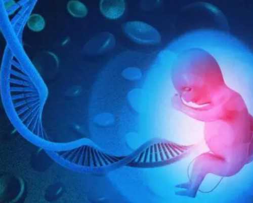 借卵代生机构,现在做阜阳助孕试管婴儿费用贵吗