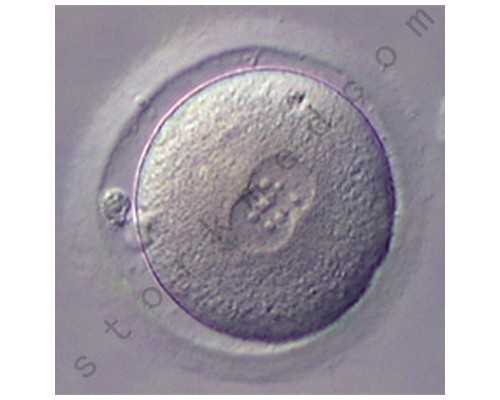 代怀生宝宝_代怀哪个医院好,南宁三代试管包生男孩价格多少？附代怀生子费用