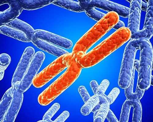 试管代生热线,淮北试管婴儿具体是怎么助孕的