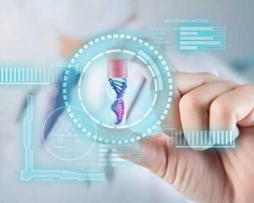 供卵试管合法吗_麻秸助孕网供卵,北京供卵试管中介成功率高吗