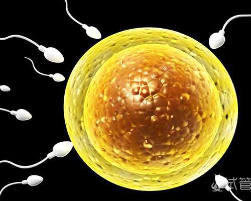 借卵试管医院,美国试管婴儿助孕期间,腹痛怎么办?