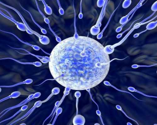 山东私立生殖医院供卵试管婴儿移植一次多少钱?