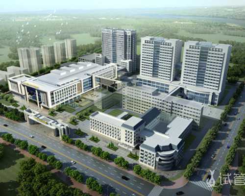 高端生孩子医院,试管婴儿三代试管费用一般多少？(试管三代试管价格)