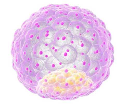 代生可供精卵,在河北辛集当地能做助孕试管婴儿吗?