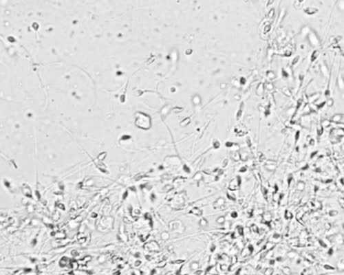 2026郑州供卵的私立机构最新发布，附供卵三代生男孩费用详情_代生宝宝网